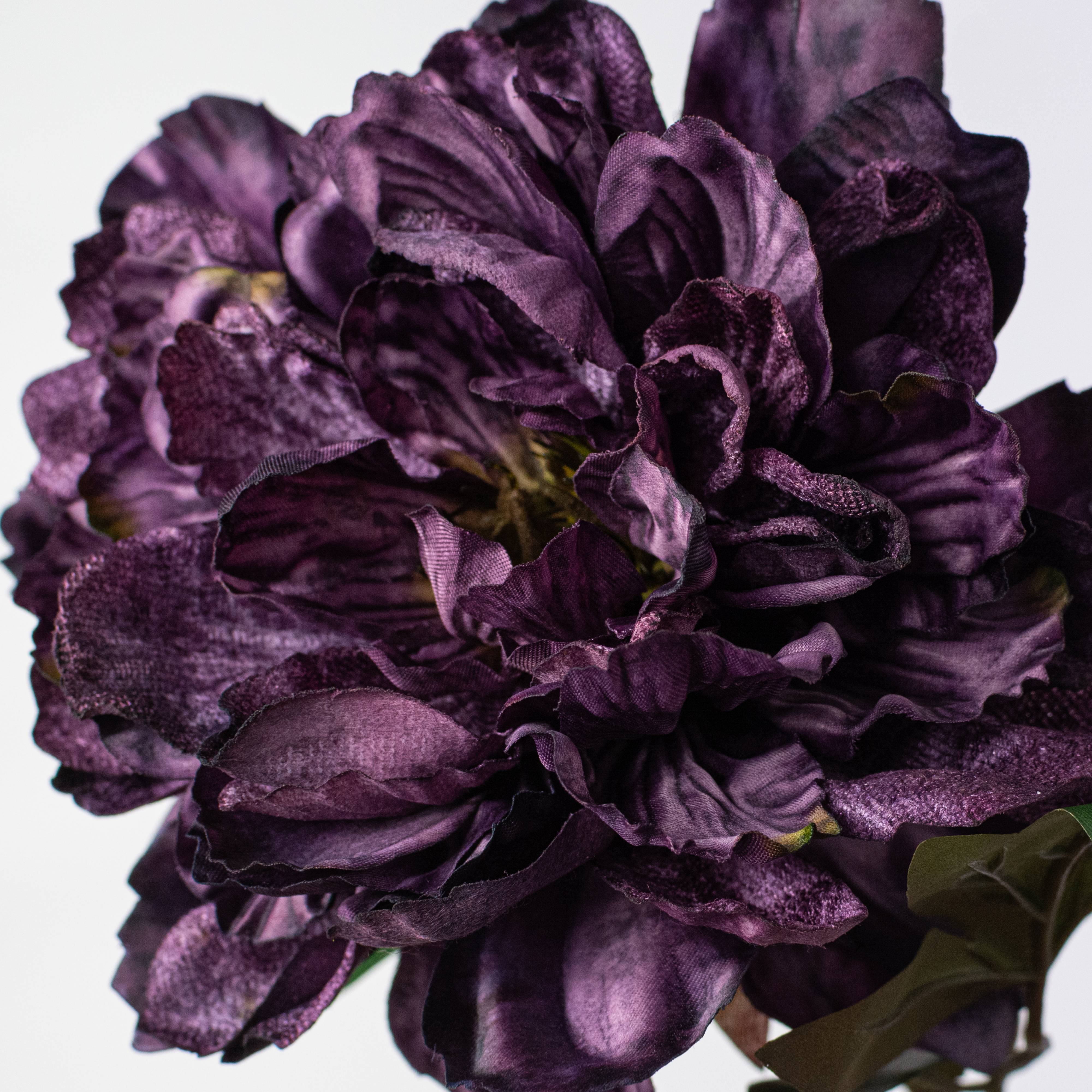 23" Velvet & Satin Peony Flower Stem: Eggplant Purple Lifestyle Photo
