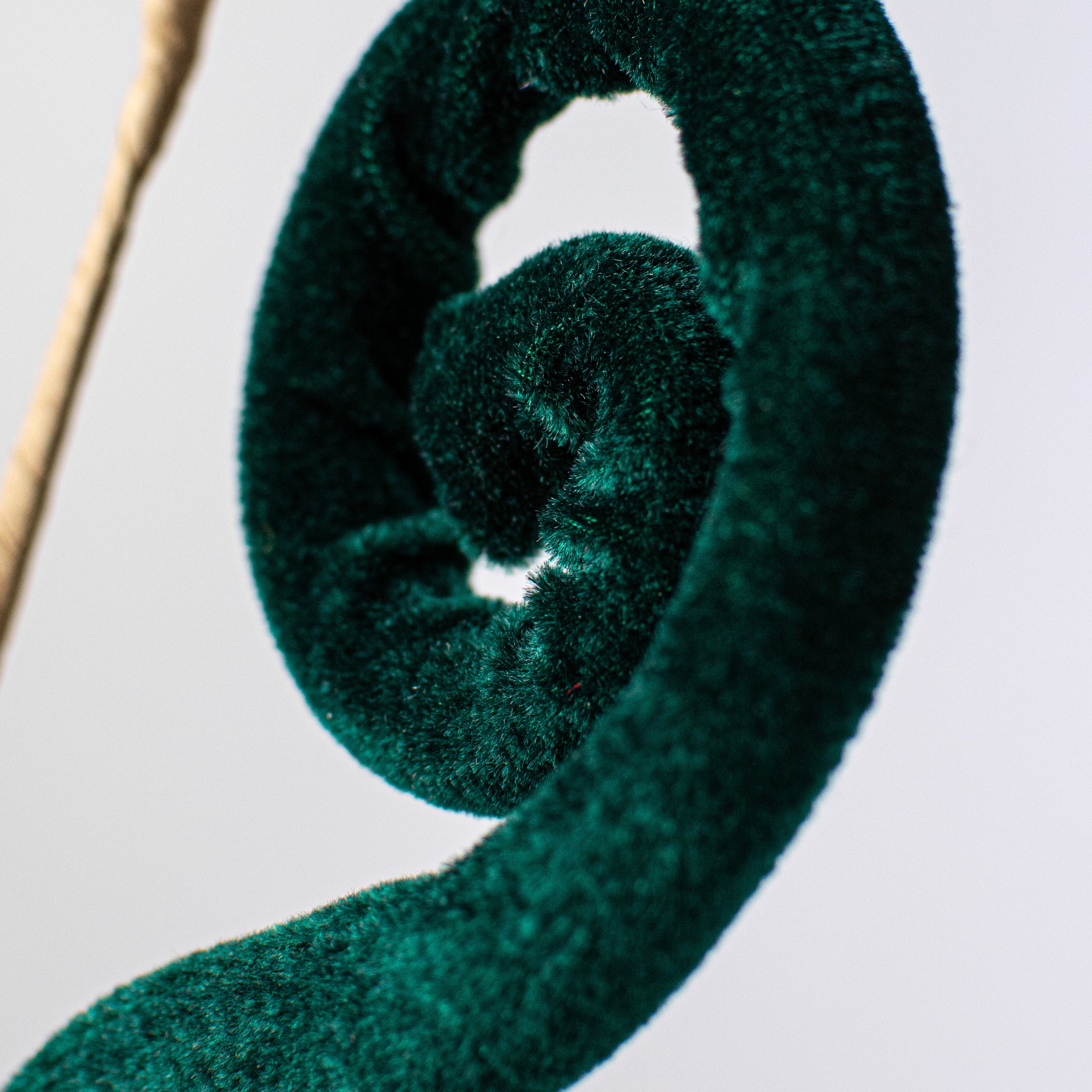 26" Velvet Spiral Curly Spray: Dark Green Lifestyle Photo