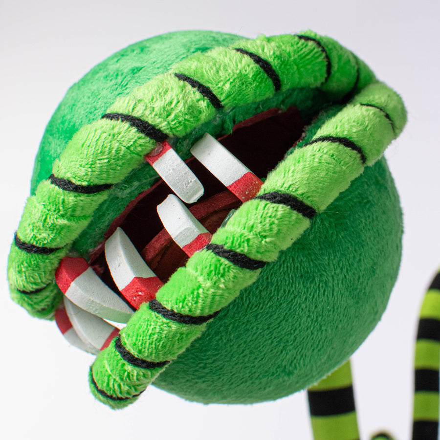 24" Venus Flytrap Curly Spray: Black & Green Lifestyle Photo