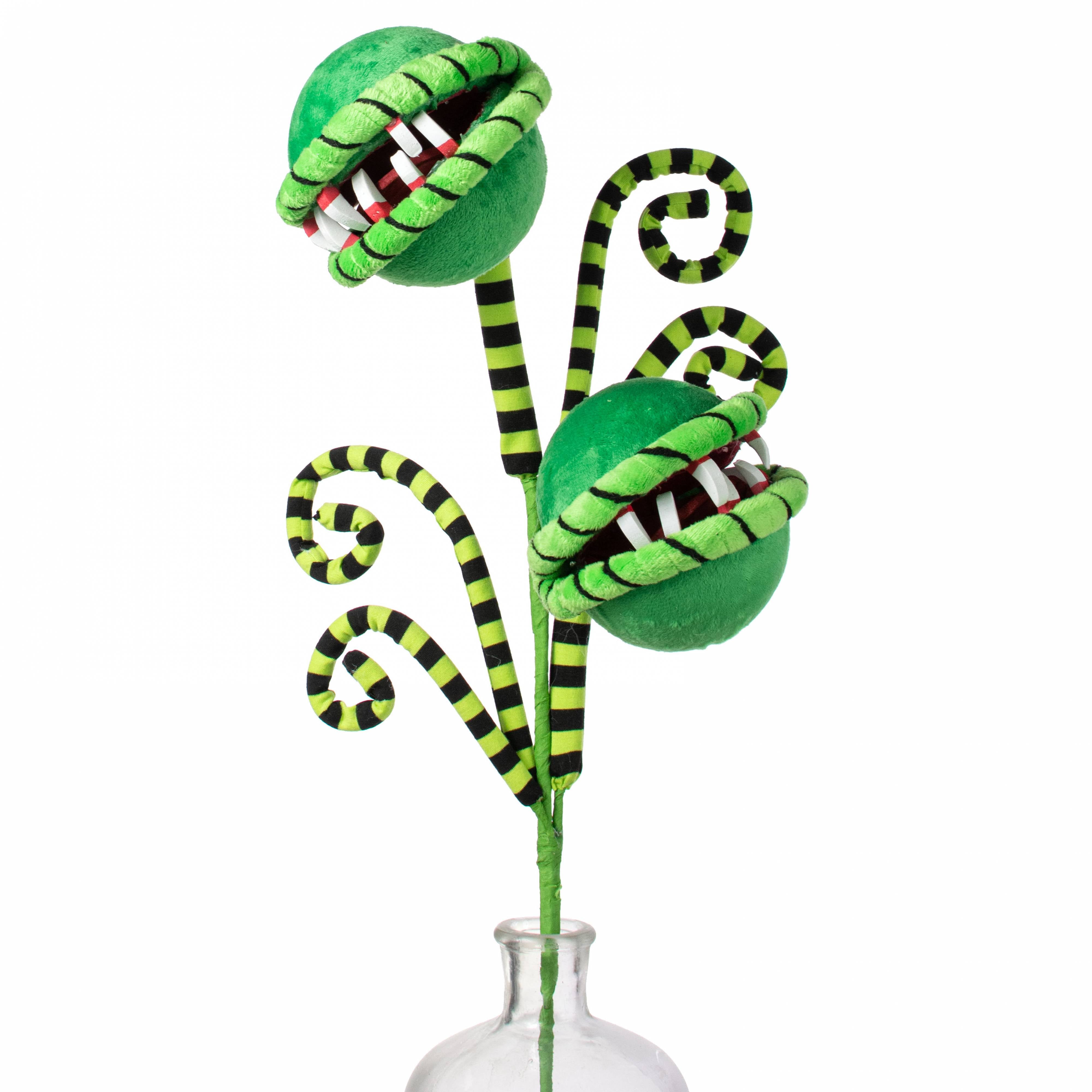 24" Venus Flytrap Curly Spray: Black & Green Item Number: 57142GNBK