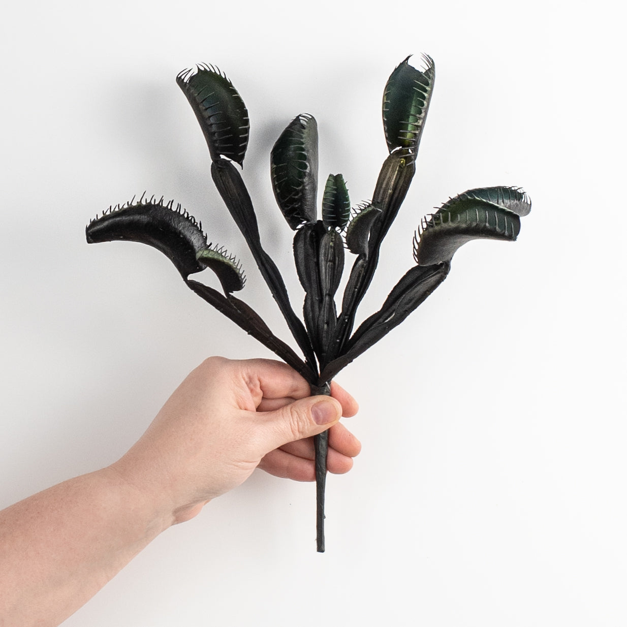 11" Venus Flytrap Pick: Black detail photo 3