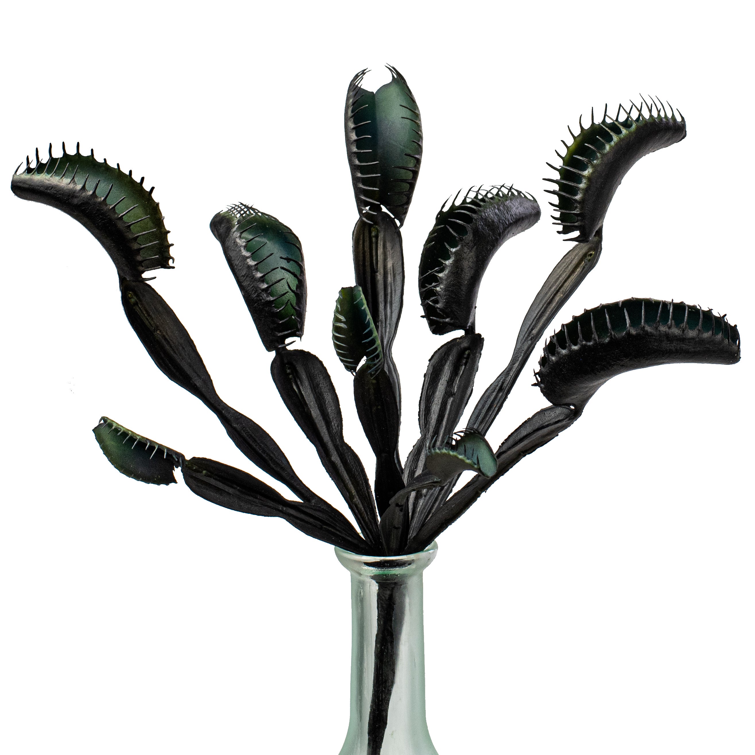 11" Venus Flytrap Pick: Black Item Number: PBV182-BK