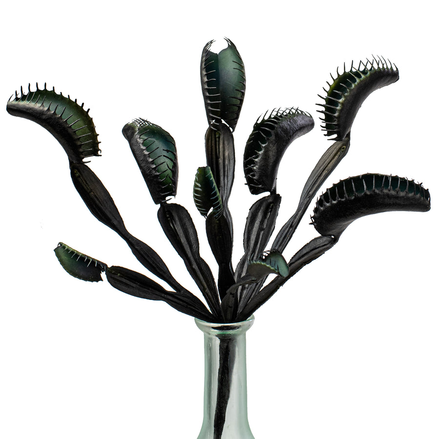 11" Venus Flytrap Pick: Black Item Number: PBV182-BK