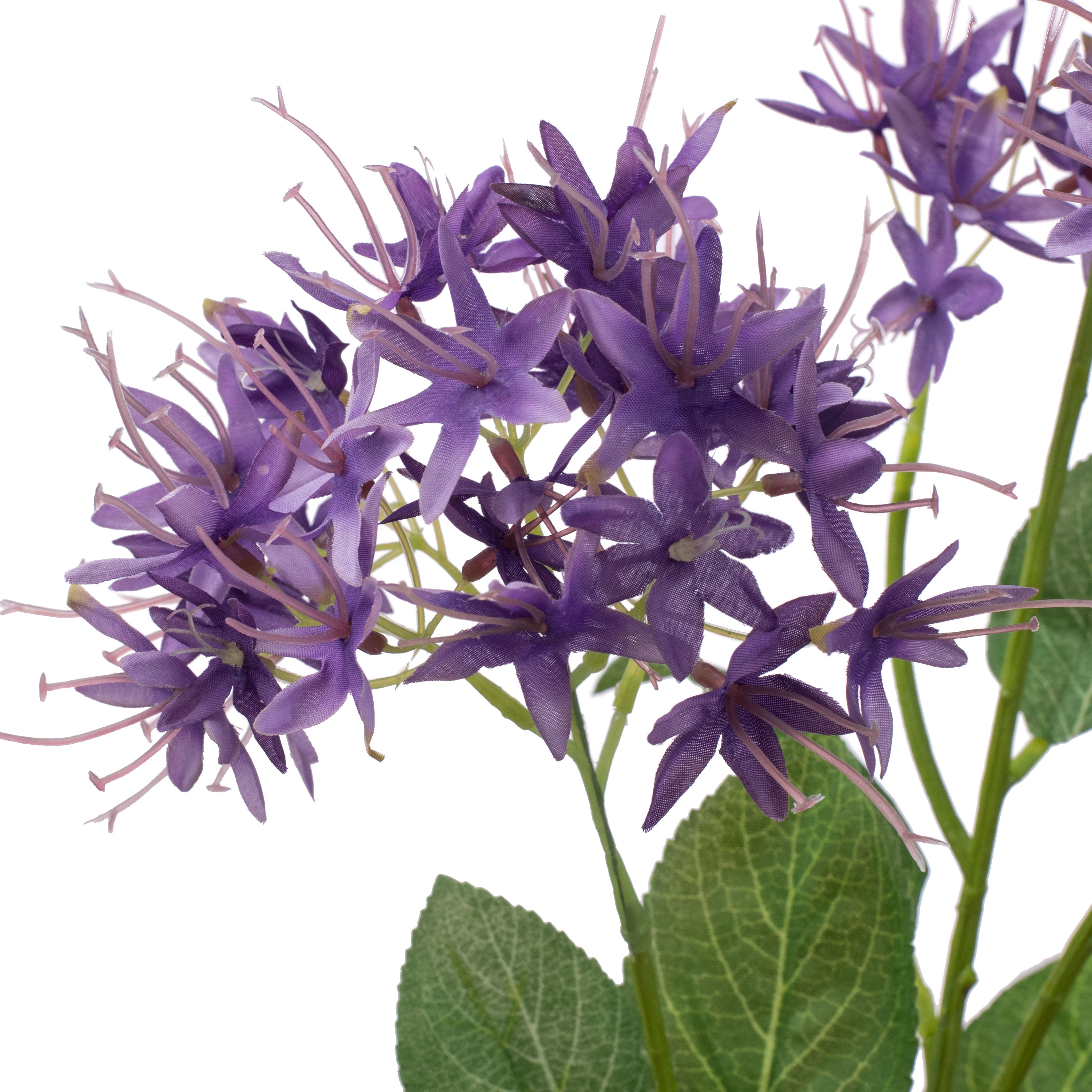 31" Viburnum Spray: Purple detail photo 3