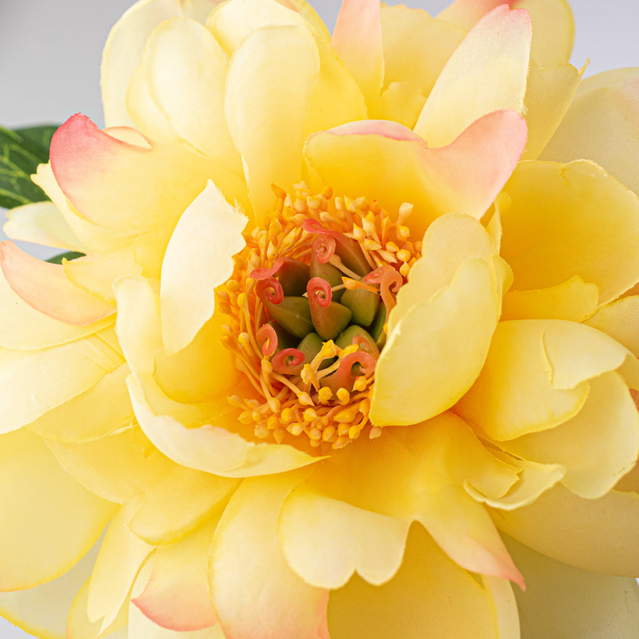22" Vintage Peony Spray: Yellow & Pink Lifestyle Photo