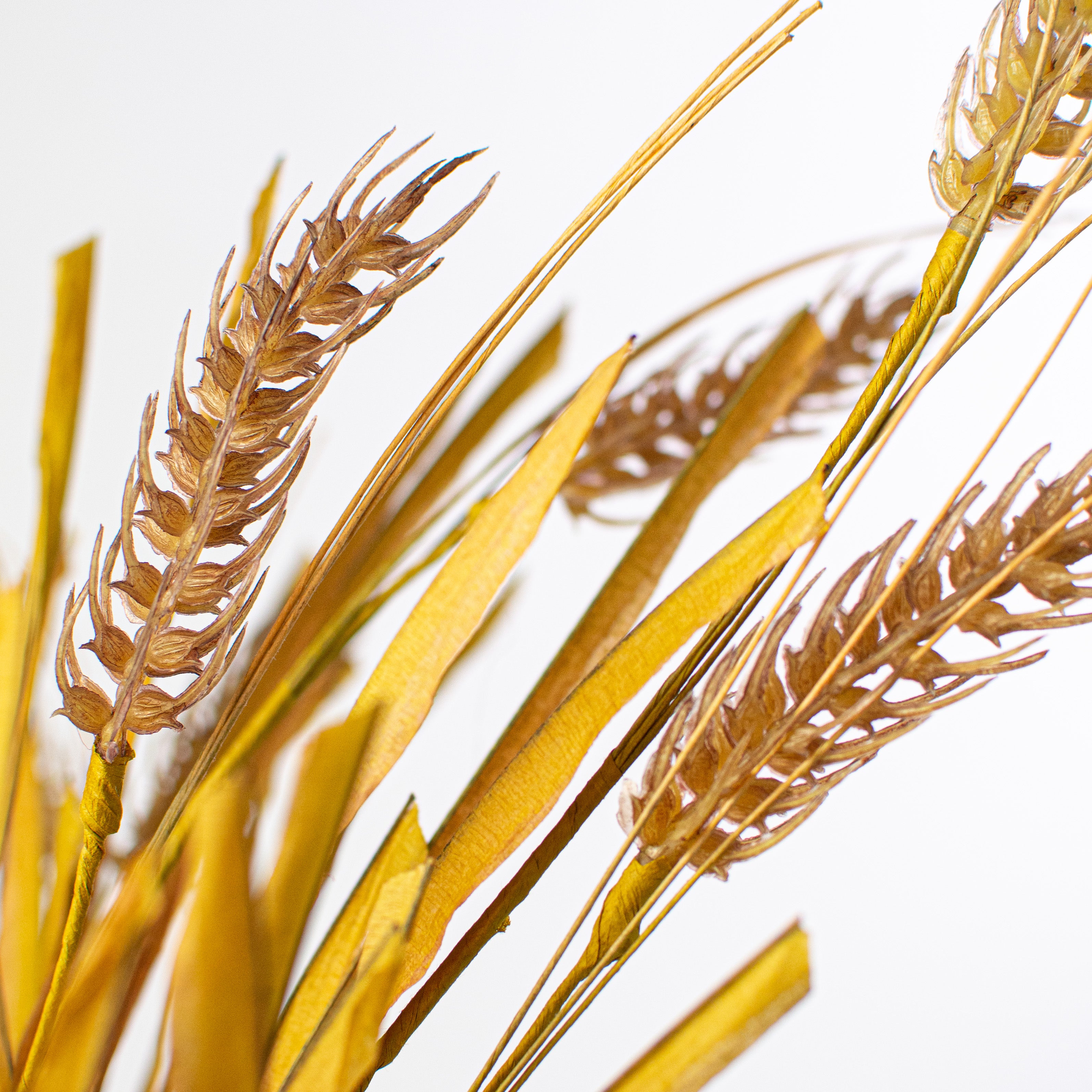 21" Wheat Bush: Brown Lifestyle Photo