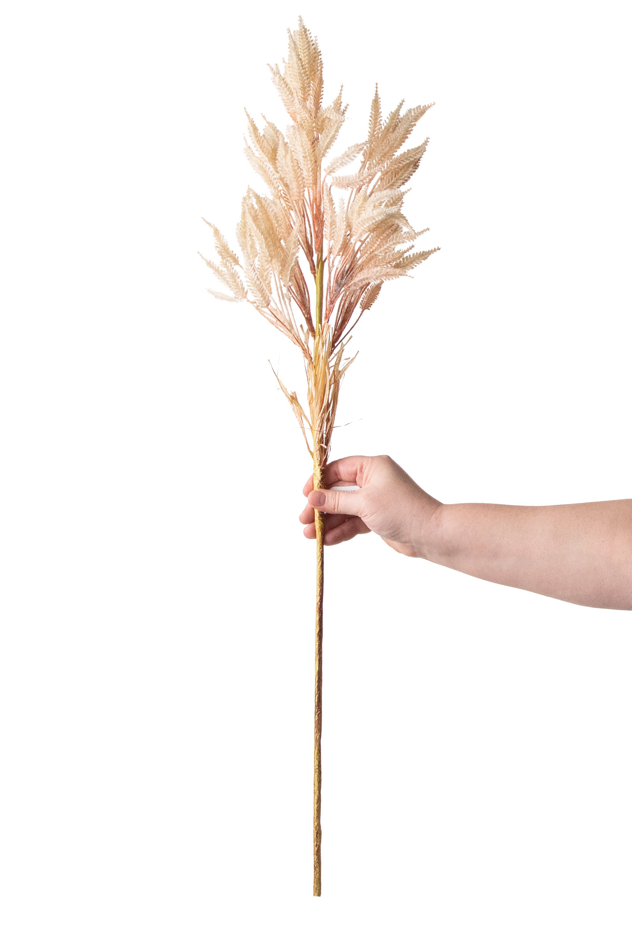 32" Wheat Grass Spray: Cream detail photo 3