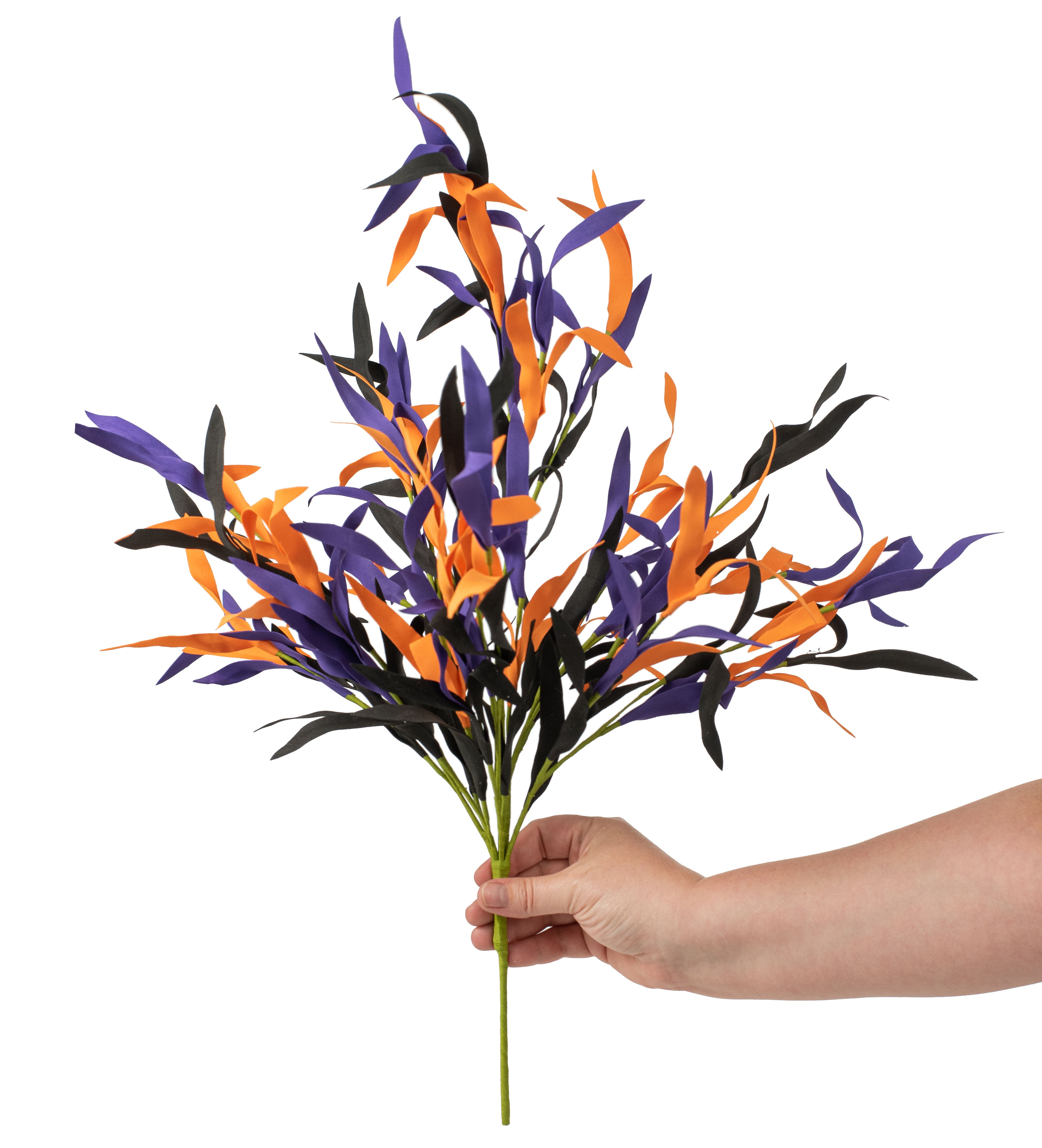 24" Wild Eva Grass Spray: Halloween Lifestyle Photo