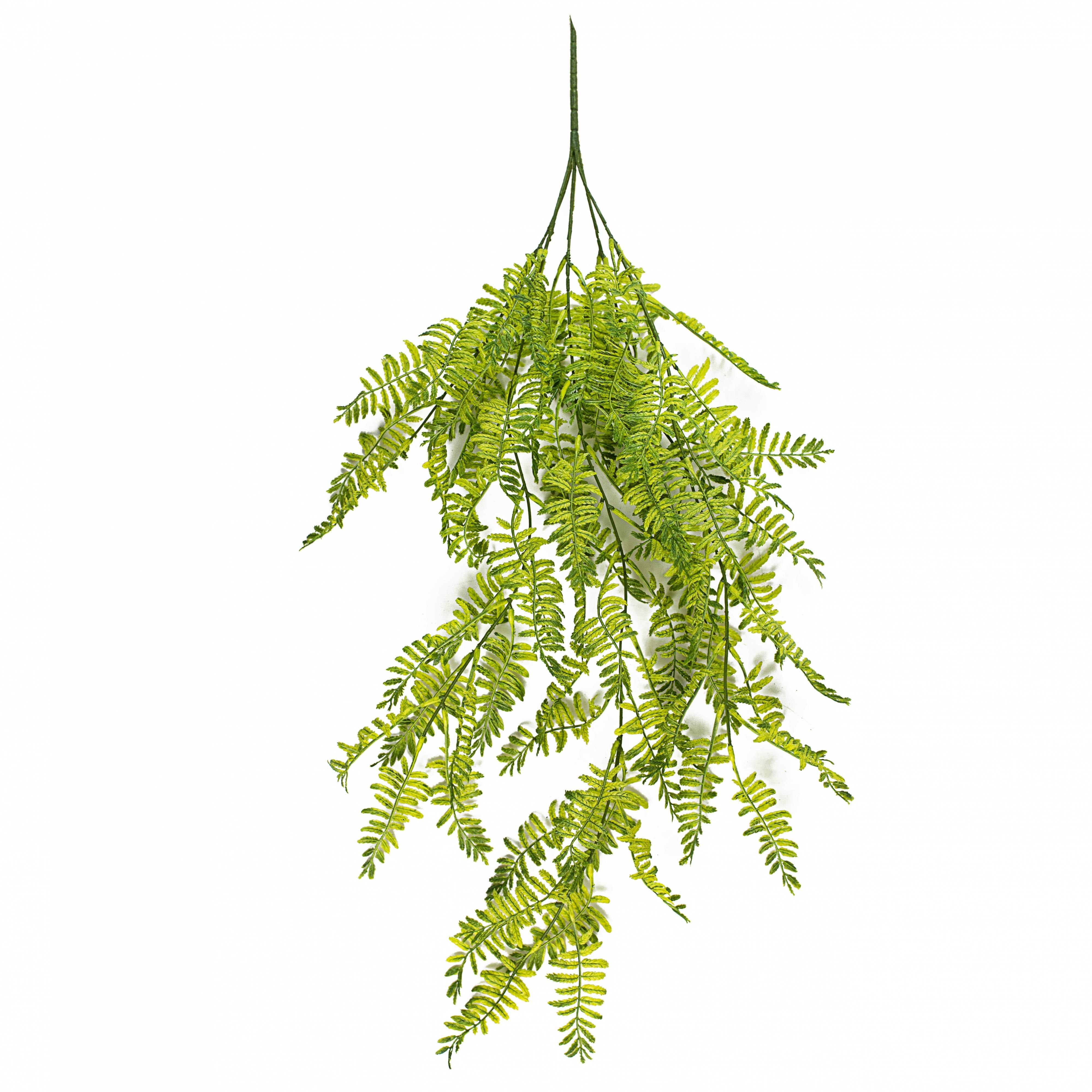 34" Wood Fern Hanging Bush Item Number: 244547