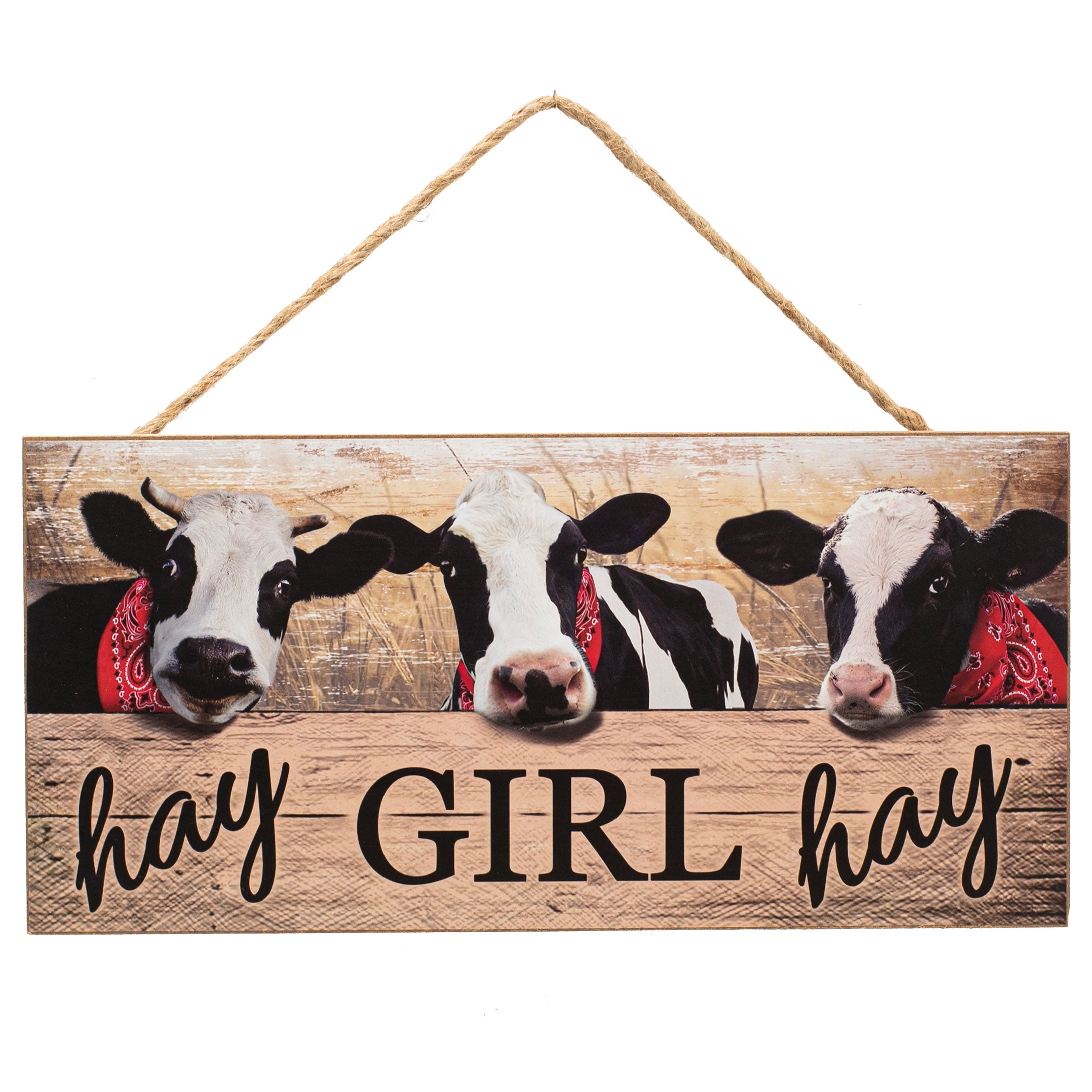 12" Wooden Sign: Hay Girl Hay Item Number: AP8548
