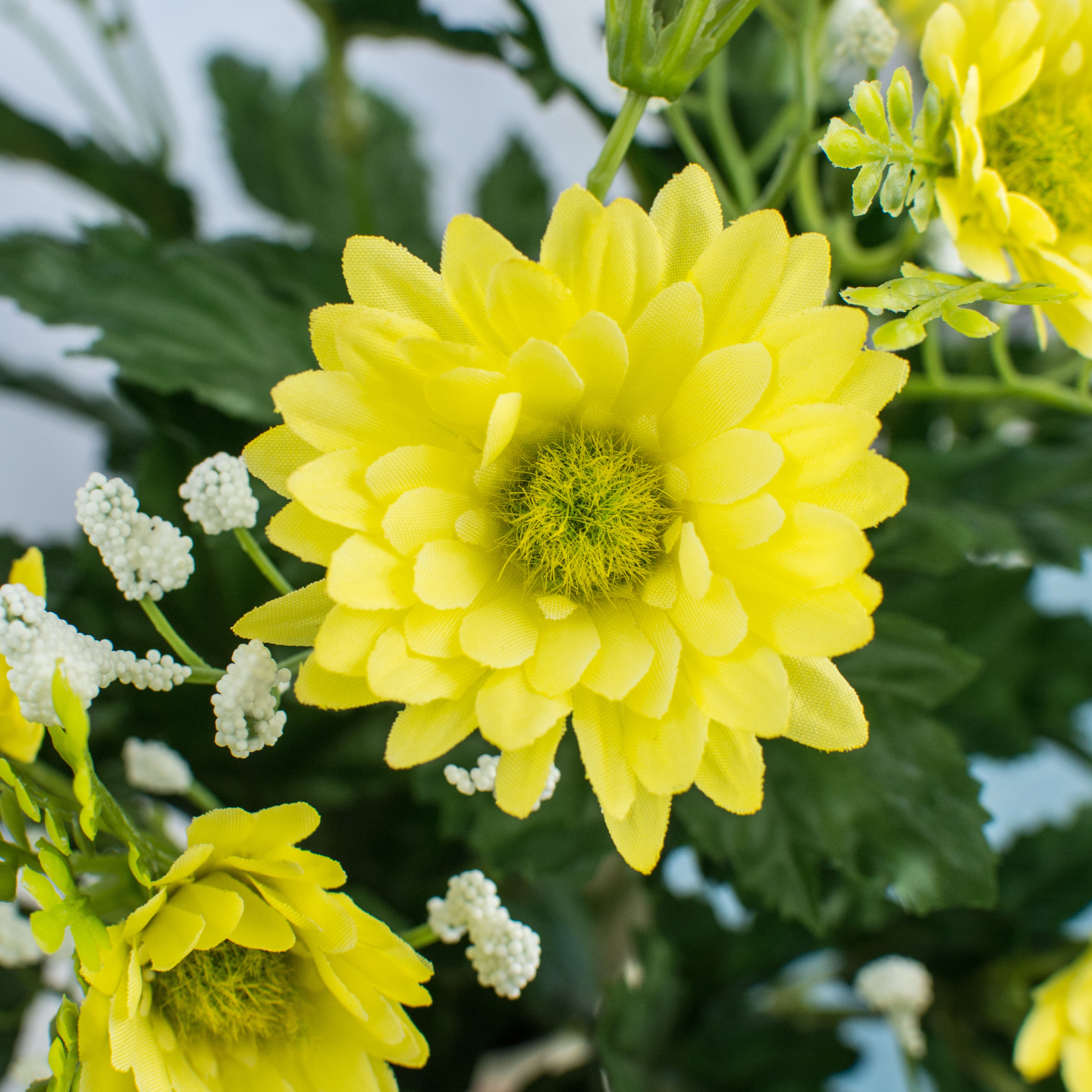 18" Yellow Daisy Bush detail photo 3