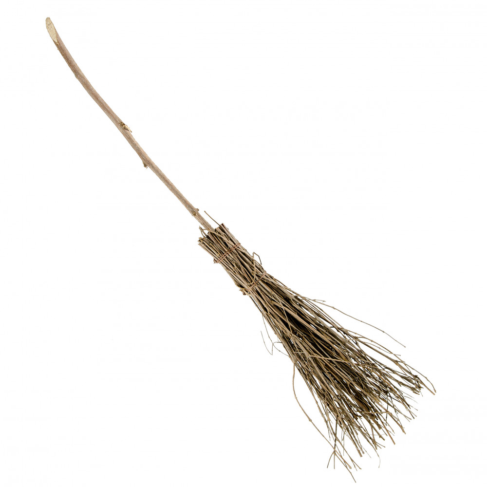 Broom перевод. Молиния Witches Broom. Веткам Witch Broom. Medieval Broom. Broomstick.