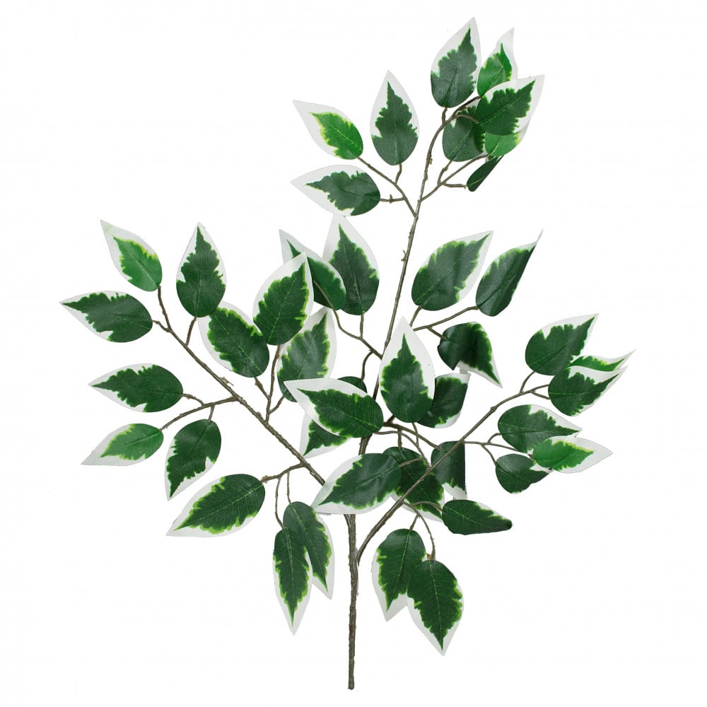 Details about   23" ARTIFICIAL SILK VARIEGATED FICUS LEAF SPRAY FLORAL DECOR AND CRAFT 