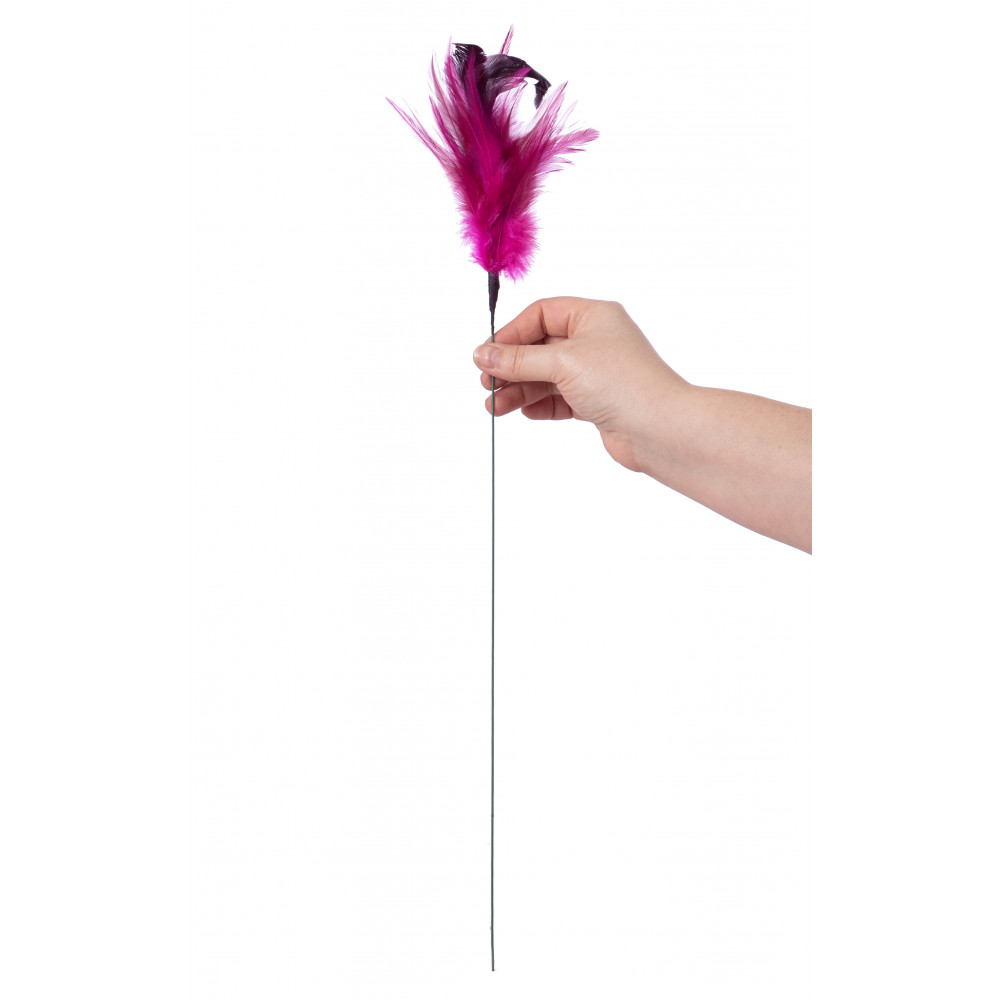Fuchsia Ostrich Feathers – FENG SWAY