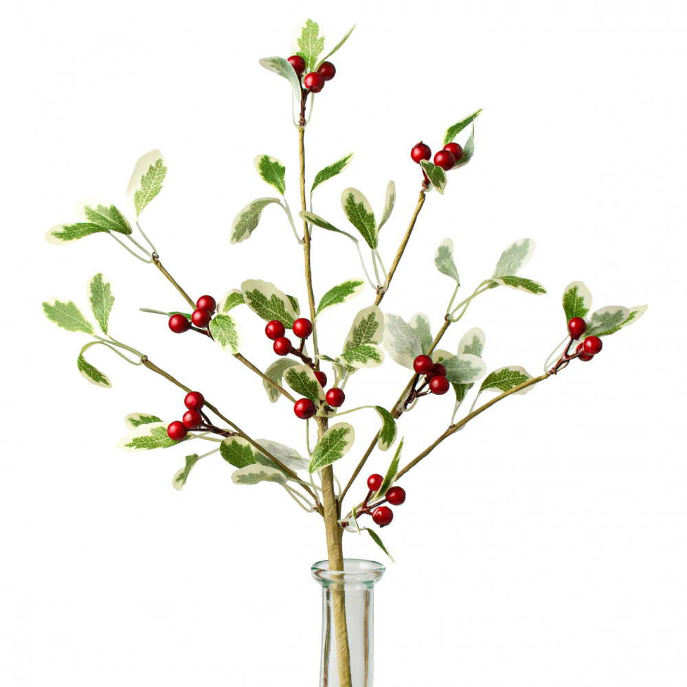 DirectFloral. 6 Hollyberry Pick