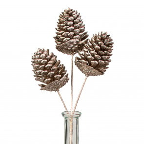 Mix of Pinecone Picks About 8 Inches Tall MRCL 