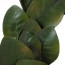 20" Magnolia Leaf Wreath: Green (36 leaves)